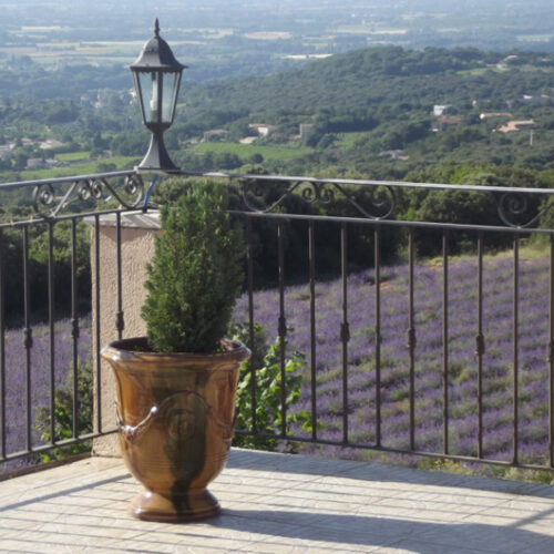 Une plante en pot trône sur une terrasse carrelée avec une balustrade en fer forgé, surplombant un paysage pittoresque de champs de lavande, de collines verdoyantes et de maisons éparses près d'un charmant gîte ardéchois, le tout sous un ciel dégagé.