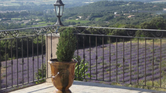 Une plante en pot trône sur une terrasse carrelée avec une balustrade en fer forgé, surplombant un paysage pittoresque de champs de lavande, de collines verdoyantes et de maisons éparses près d'un charmant gîte ardéchois, le tout sous un ciel dégagé.