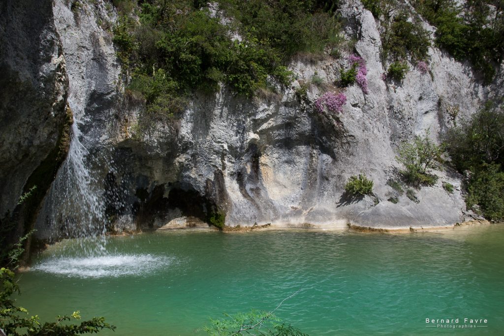 Une petite cascade s’écoule d’une falaise rocheuse dans un bassin turquoise transparent entouré de verdure et de fleurs violettes au Mas Saint Antoine, un gîte de charme de l’Ardèche. La lumière du soleil illumine l’eau et la falaise, créant une scène naturelle paisible. Une petite cascade s'écoule d'une falaise rocheuse dans un bassin turquoise transparent entouré de verdure et de fleurs violettes au Mas Saint Antoine, un gîte de charme de l'Ardèche. La lumière du soleil illumine l'eau et la falaise, créant une scène naturelle paisible.