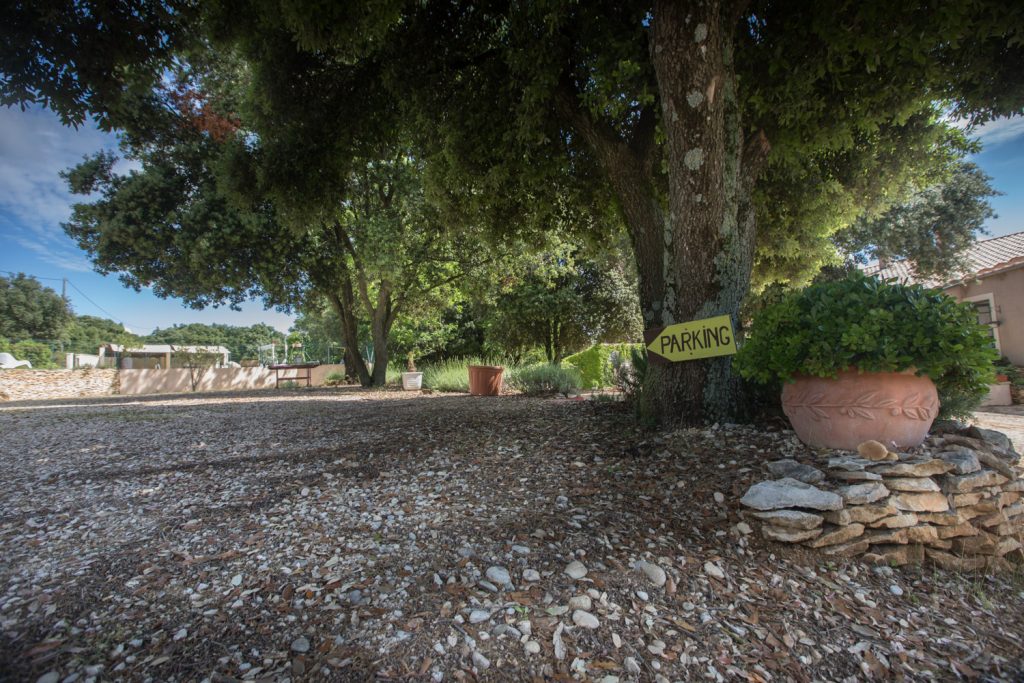 A large tree with a yellow “Parking” sign on its trunk stands next to a gravel area at Mas Saint Antoine. A large potted plant sits on a stone pedestal nearby. Other trees, plants, and a building are visible in the background. A large tree with a yellow "Parking" sign on its trunk stands next to a gravel area at Mas Saint Antoine. A large potted plant sits on a stone pedestal nearby. Other trees, plants, and a building are visible in the background.