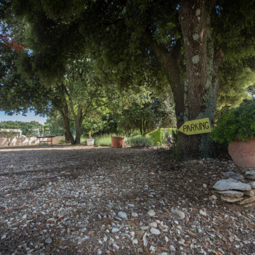 Un grand arbre avec un panneau Parking jaune sur son tronc se trouve à côté d'une zone de gravier au Mas Saint Antoine. Une grande plante en pot est posée sur un socle en pierre à proximité. D'autres arbres, plantes et un bâtiment sont visibles à l'arrière-plan.