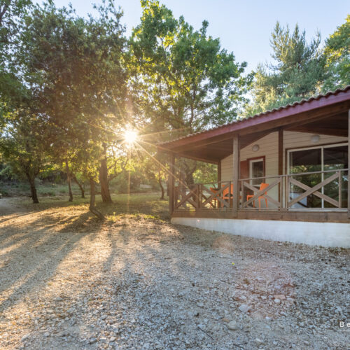 Une petite cabane en bois avec un porche se trouve au milieu des arbres, la lumière du soleil passant à travers les branches, idéale pour les séjours en groupe ou comme gîte en Ardèche, projetant de longues ombres sur une allée en gravier et sur le sol forestier environnant.