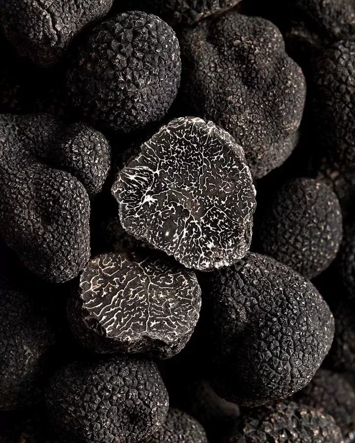 truffe-noire Truffe noire