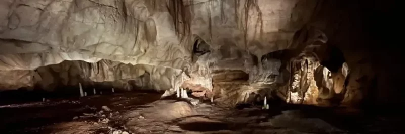 Peintures rupestres de chevaux et lions de la Grotte Chauvet, art pariétal préhistorique