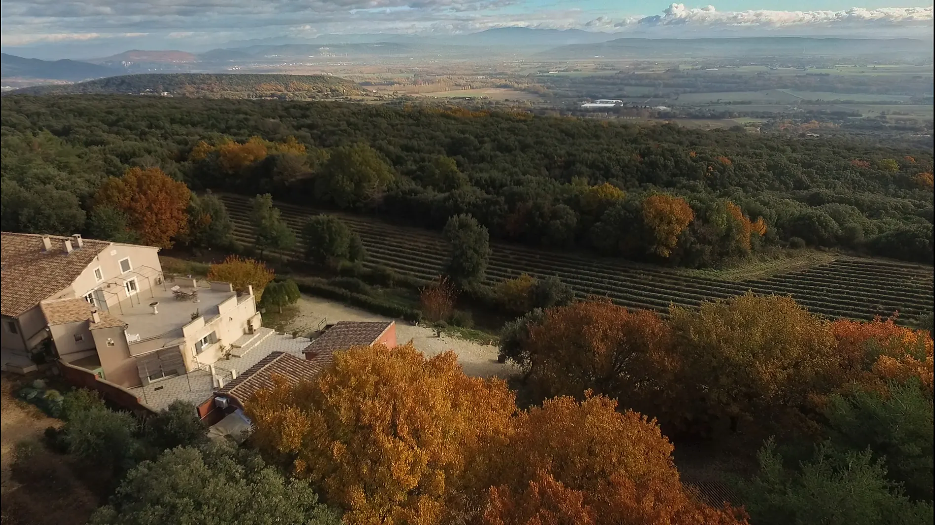 Vue aérienne du domaine de 2 hectares du Mas Saint Antoine en automne : rangs de lavande et vallée du Rhône